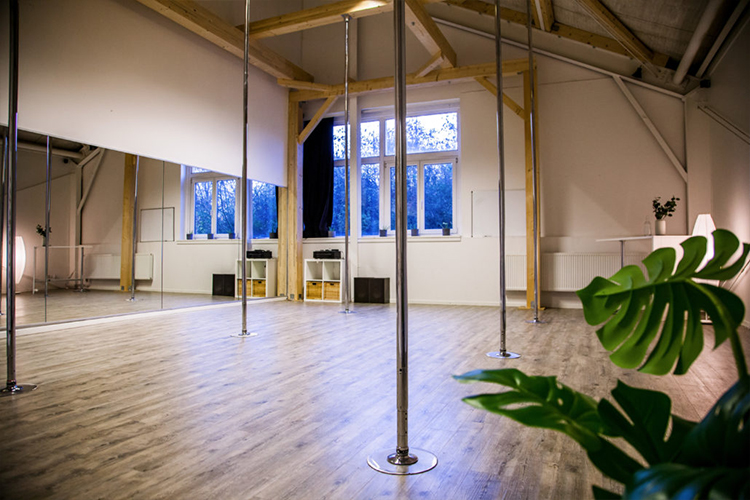 Jim Polestudio