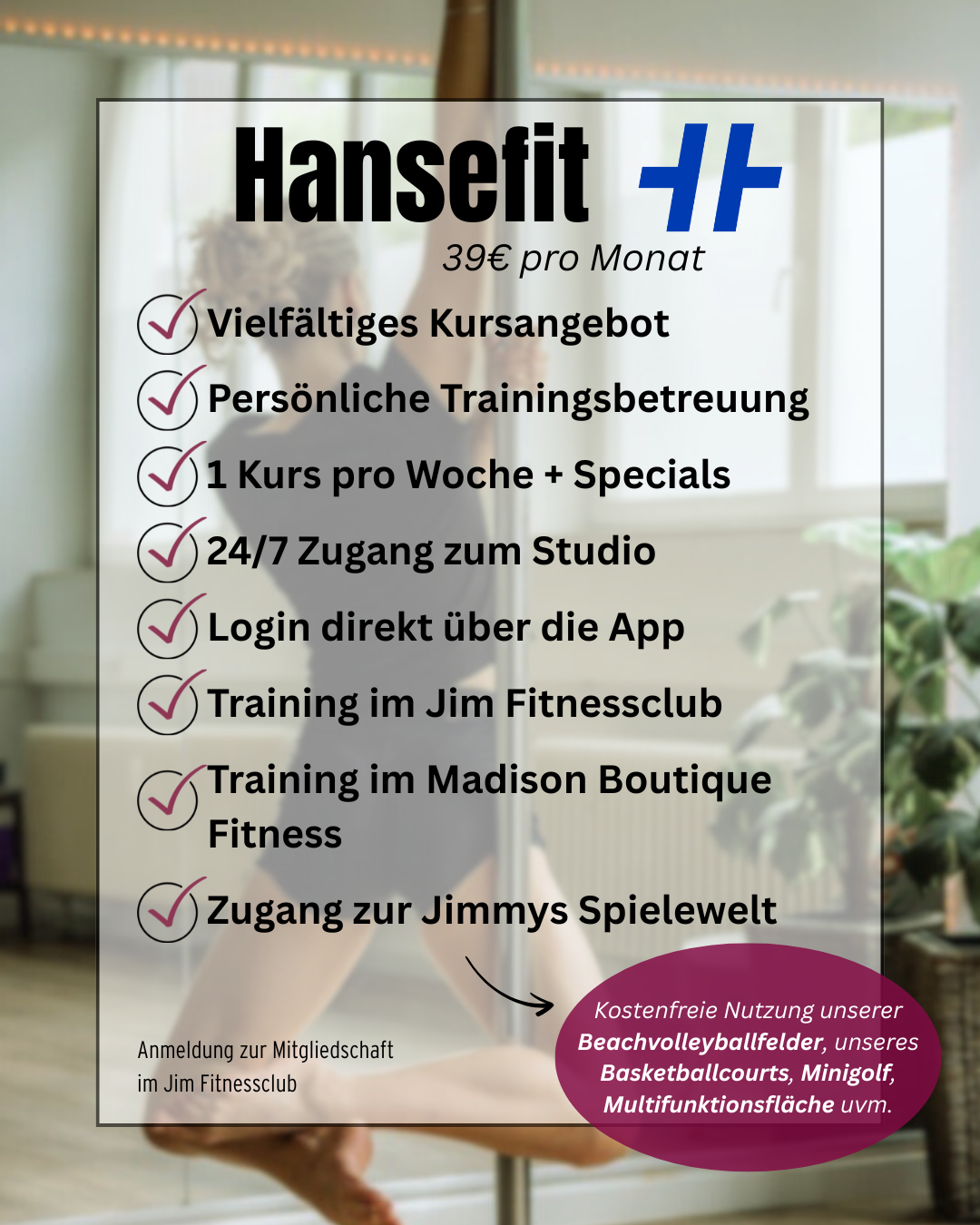 Hansefit PoleFit